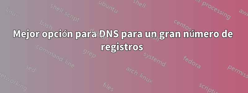 Mejor opción para DNS para un gran número de registros 