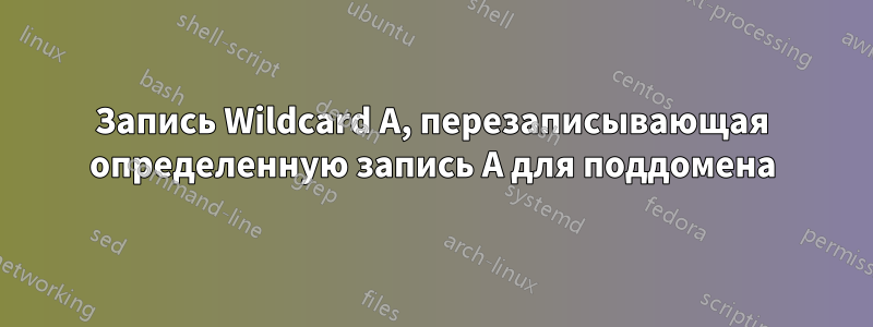 Запись Wildcard A, перезаписывающая определенную запись A для поддомена