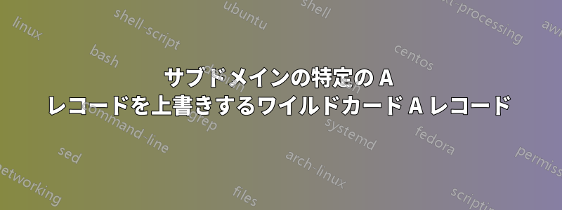 サブドメインの特定の A レコードを上書きするワイルドカード A レコード