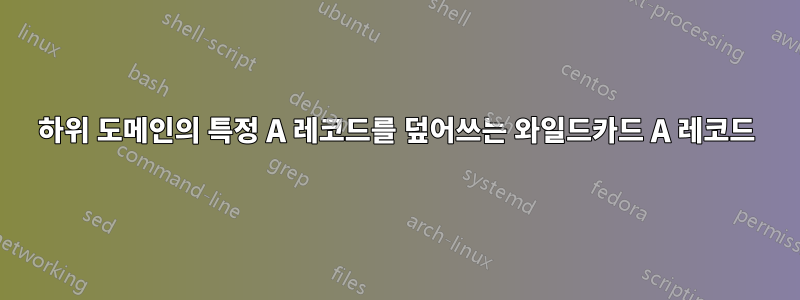 하위 도메인의 특정 A 레코드를 덮어쓰는 와일드카드 A 레코드