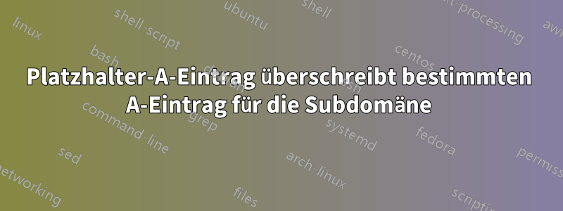 Platzhalter-A-Eintrag überschreibt bestimmten A-Eintrag für die Subdomäne