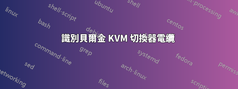 識別貝爾金 KVM 切換器電纜