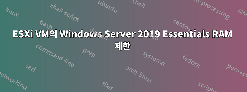 ESXi VM의 Windows Server 2019 Essentials RAM 제한