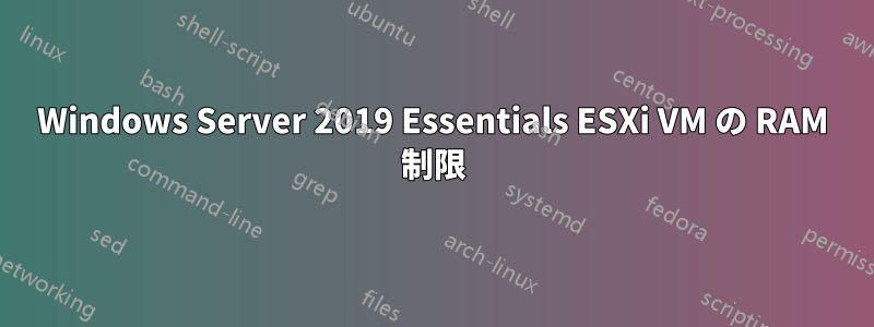 Windows Server 2019 Essentials ESXi VM の RAM 制限