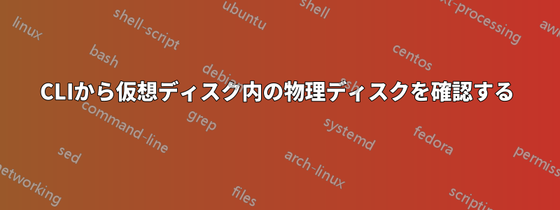 CLIから仮想ディスク内の物理ディスクを確認する