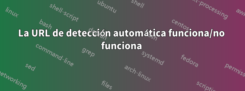 La URL de detección automática funciona/no funciona