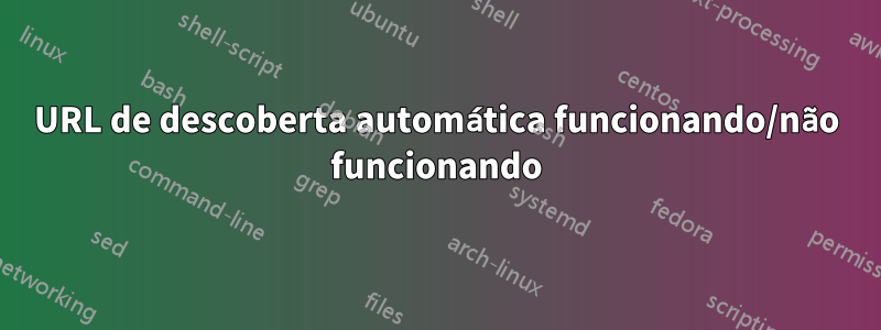 URL de descoberta automática funcionando/não funcionando