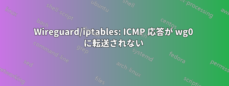 Wireguard/iptables: ICMP 応答が wg0 に転送されない