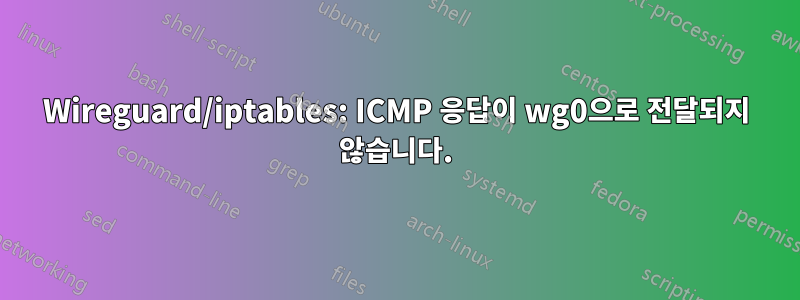 Wireguard/iptables: ICMP 응답이 wg0으로 전달되지 않습니다.