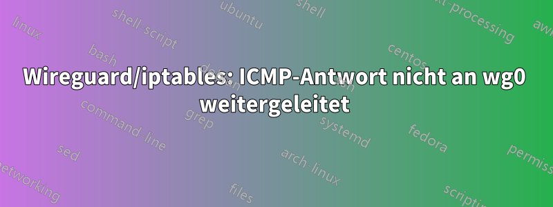 Wireguard/iptables: ICMP-Antwort nicht an wg0 weitergeleitet