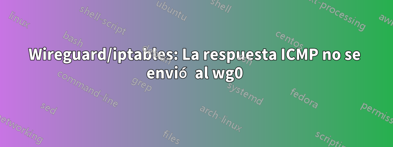 Wireguard/iptables: La respuesta ICMP no se envió al wg0