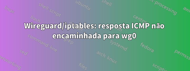 Wireguard/iptables: resposta ICMP não encaminhada para wg0