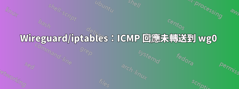 Wireguard/iptables：ICMP 回應未轉送到 wg0