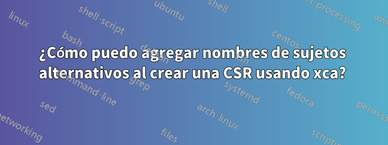 ¿Cómo puedo agregar nombres de sujetos alternativos al crear una CSR usando xca?