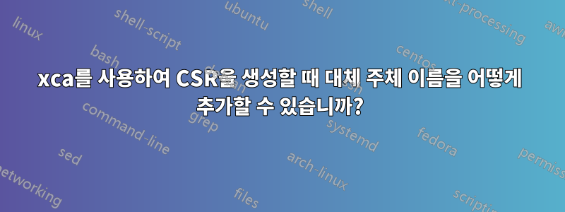 xca를 사용하여 CSR을 생성할 때 대체 주체 이름을 어떻게 추가할 수 있습니까?