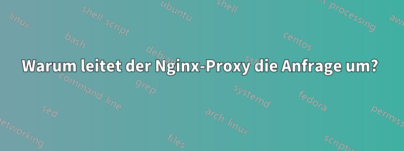 Warum leitet der Nginx-Proxy die Anfrage um?