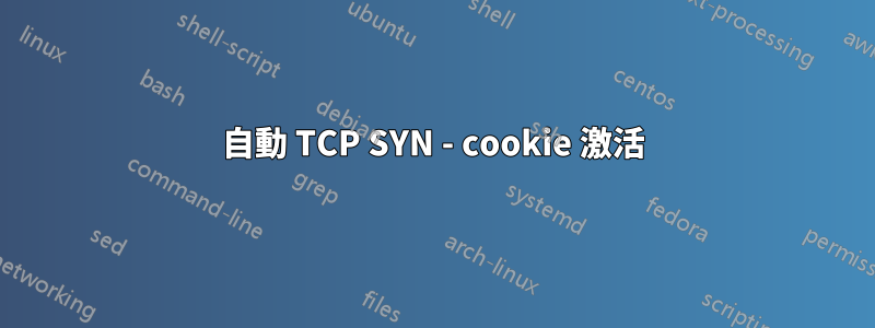 自動 TCP SYN - cookie 激活