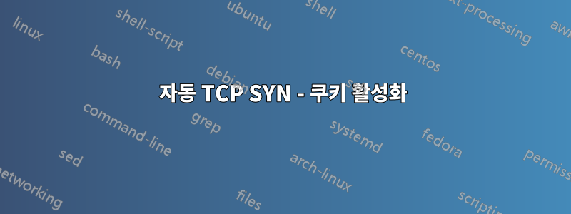 자동 TCP SYN - 쿠키 활성화