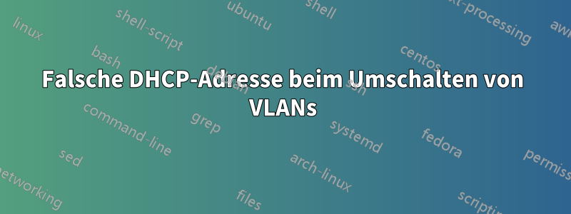 Falsche DHCP-Adresse beim Umschalten von VLANs