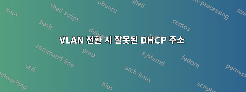 VLAN 전환 시 잘못된 DHCP 주소