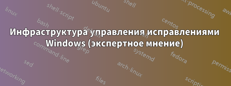 Инфраструктура управления исправлениями Windows (экспертное мнение)