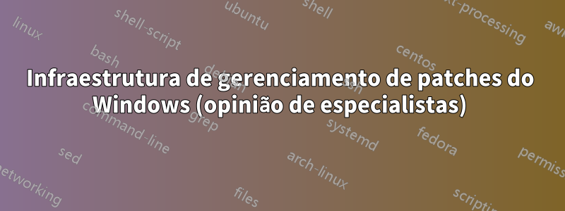 Infraestrutura de gerenciamento de patches do Windows (opinião de especialistas)