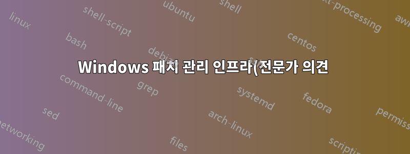 Windows 패치 관리 인프라(전문가 의견)