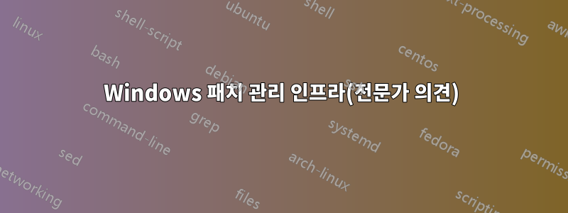 Windows 패치 관리 인프라(전문가 의견)