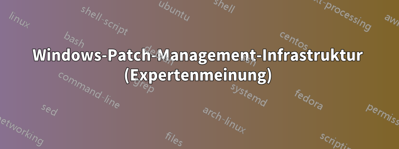 Windows-Patch-Management-Infrastruktur (Expertenmeinung)