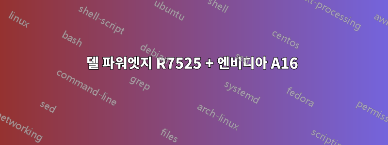 델 파워엣지 R7525 + 엔비디아 A16