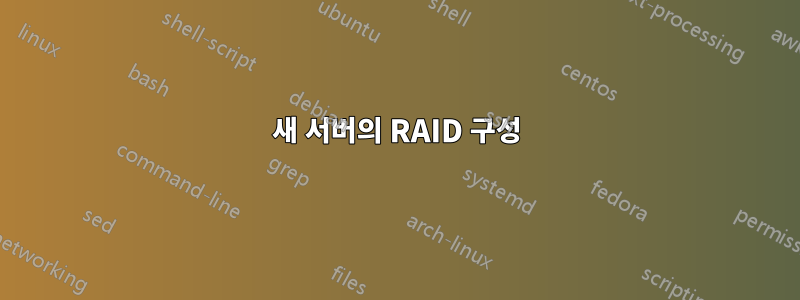 새 서버의 RAID 구성