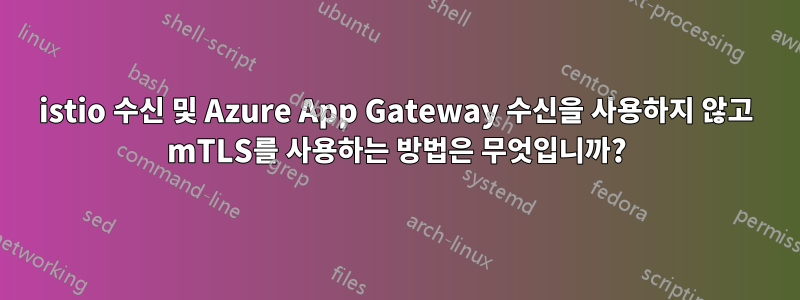 istio 수신 및 Azure App Gateway 수신을 사용하지 않고 mTLS를 사용하는 방법은 무엇입니까?