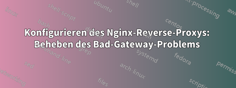 Konfigurieren des Nginx-Reverse-Proxys: Beheben des Bad-Gateway-Problems