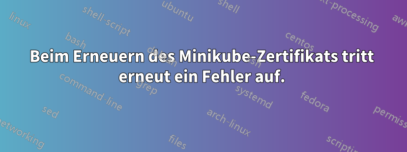 Beim Erneuern des Minikube-Zertifikats tritt erneut ein Fehler auf.