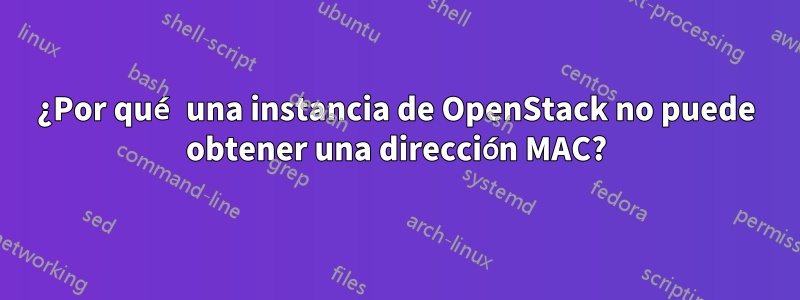 ¿Por qué una instancia de OpenStack no puede obtener una dirección MAC?