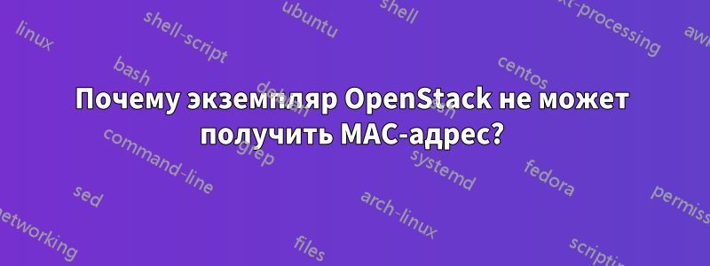 Почему экземпляр OpenStack не может получить MAC-адрес?