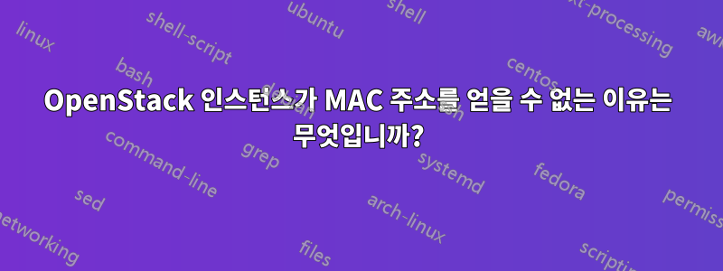 OpenStack 인스턴스가 MAC 주소를 얻을 수 없는 이유는 무엇입니까?