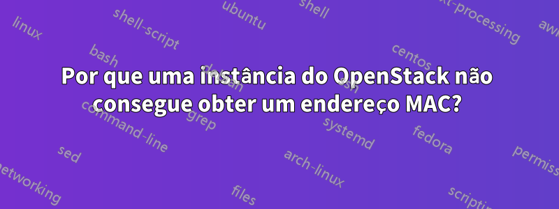 Por que uma instância do OpenStack não consegue obter um endereço MAC?