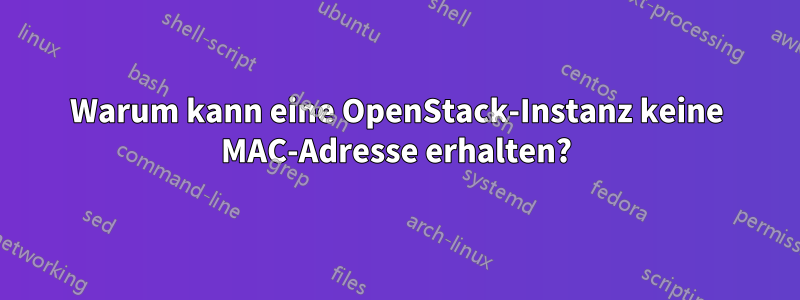 Warum kann eine OpenStack-Instanz keine MAC-Adresse erhalten?