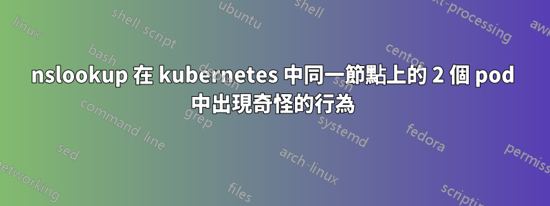 nslookup 在 kubernetes 中同一節點上的 2 個 pod 中出現奇怪的行為