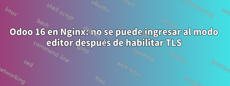 Odoo 16 en Nginx: no se puede ingresar al modo editor después de habilitar TLS