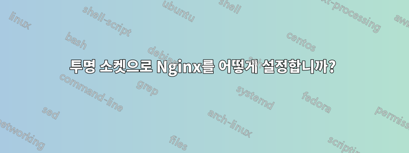 투명 소켓으로 Nginx를 어떻게 설정합니까?