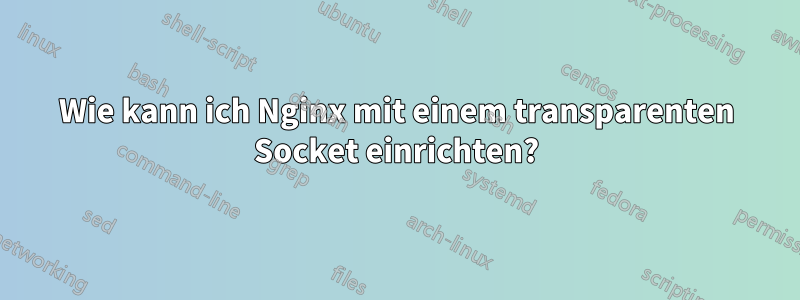 Wie kann ich Nginx mit einem transparenten Socket einrichten?