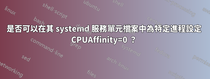 是否可以在其 systemd 服務單元檔案中為特定進程設定 CPUAffinity=0 ？