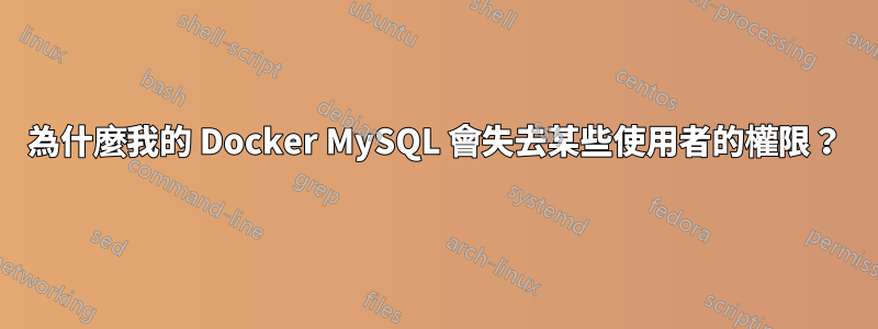 為什麼我的 Docker MySQL 會失去某些使用者的權限？