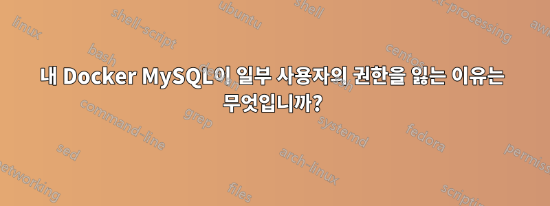 내 Docker MySQL이 일부 사용자의 권한을 잃는 이유는 무엇입니까?