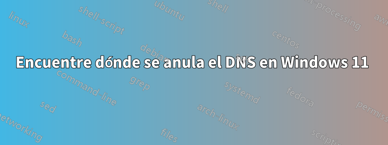 Encuentre dónde se anula el DNS en Windows 11