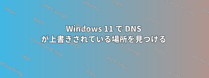 Windows 11 で DNS が上書きされている場所を見つける