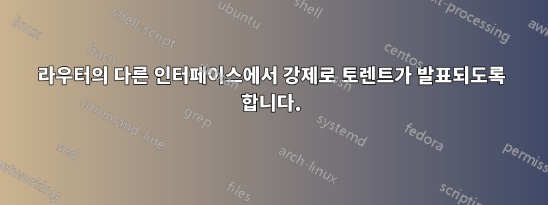 라우터의 다른 인터페이스에서 강제로 토렌트가 발표되도록 합니다.