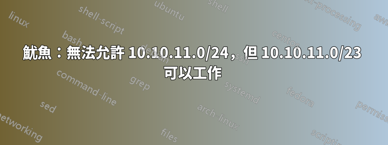 魷魚：無法允許 10.10.11.0/24，但 10.10.11.0/23 可以工作